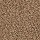 Mohawk Carpet: Revive Pretzel Twist